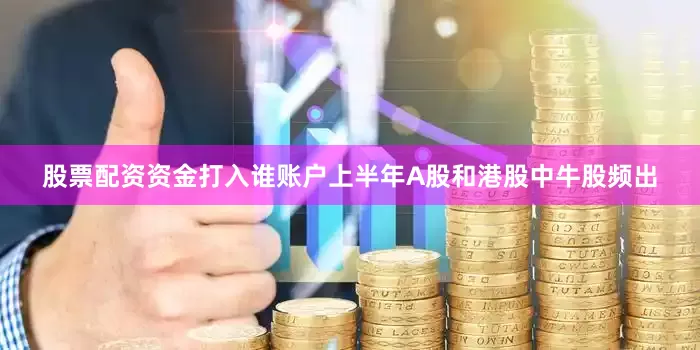 股票配资资金打入谁账户上半年A股和港股中牛股频出