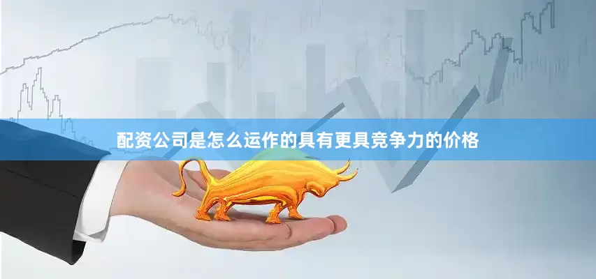 配资公司是怎么运作的具有更具竞争力的价格